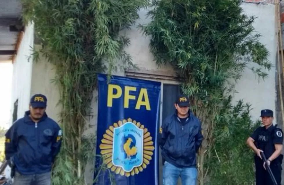 El allanamiento se llevó a cabo este viernes en una vivienda de Reconquista. (@PFAOficial)