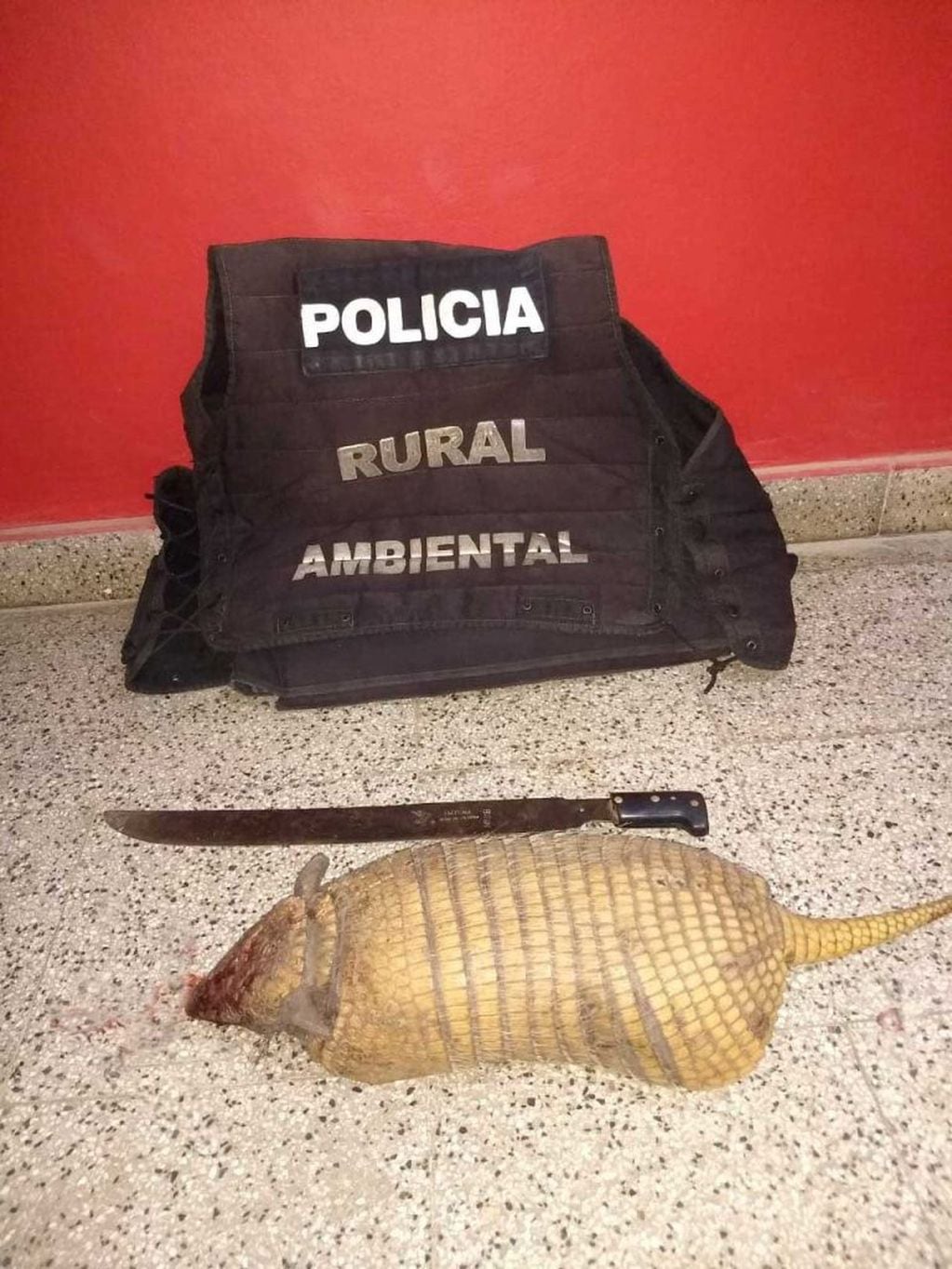 La policía de Salta secuestró un gualacate, bagres, loros y otras aves silvestres. (Policía de Salta)