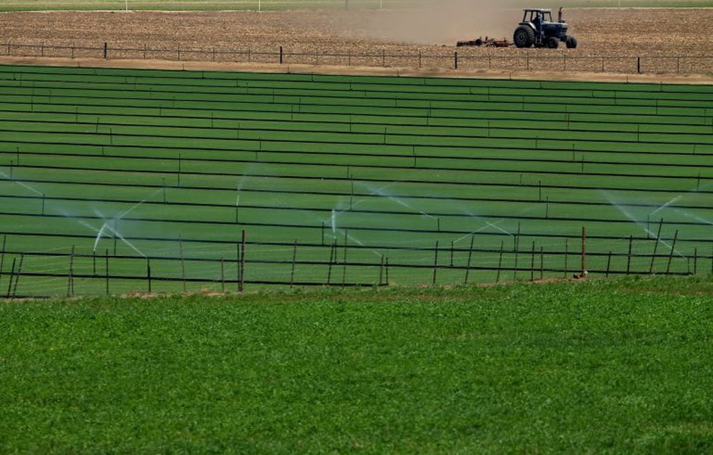California cultivos sistema de riego campos cultivos plantaciones