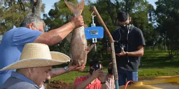 Campo Viera: piscicultores obtuvieron excelentes ventas de peces en Semana Santa