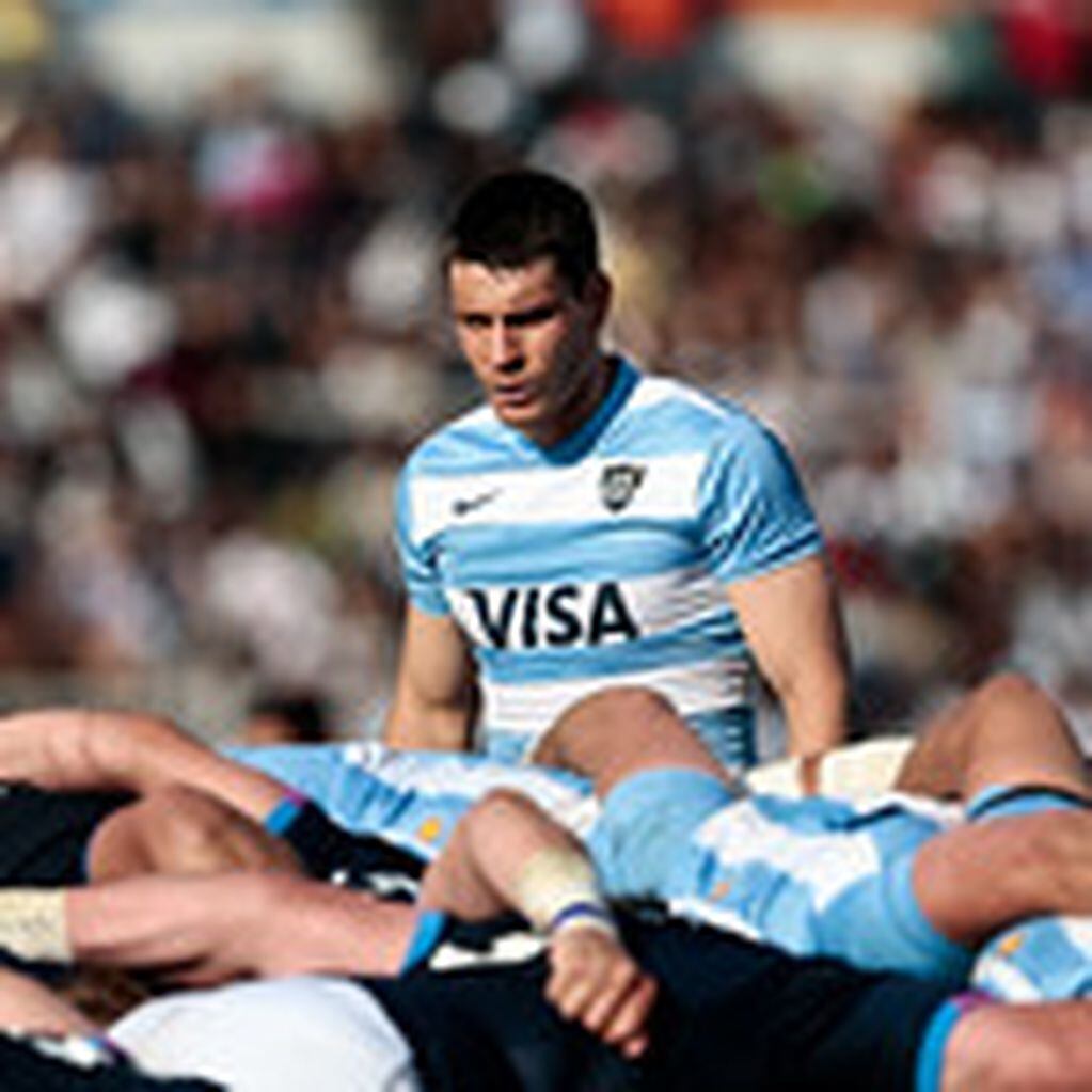 Los Pumas vs. Escocia