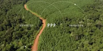Puerto Iguazú | Se realizará el Encuentro Anual de Paisaje Productivo Protegido