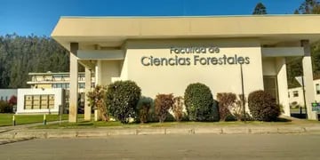 Eldorado: la Facultad de Ciencias Forestales extenderá la preinscripción a las carreras