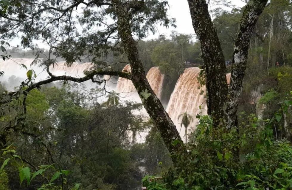 Por la crecida del río Iguazú, cierran temporalmente el circuito de la Garganta del Diablo.