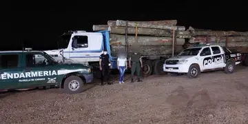 San Vicente: incautaron un camión con madera presuntamente robada