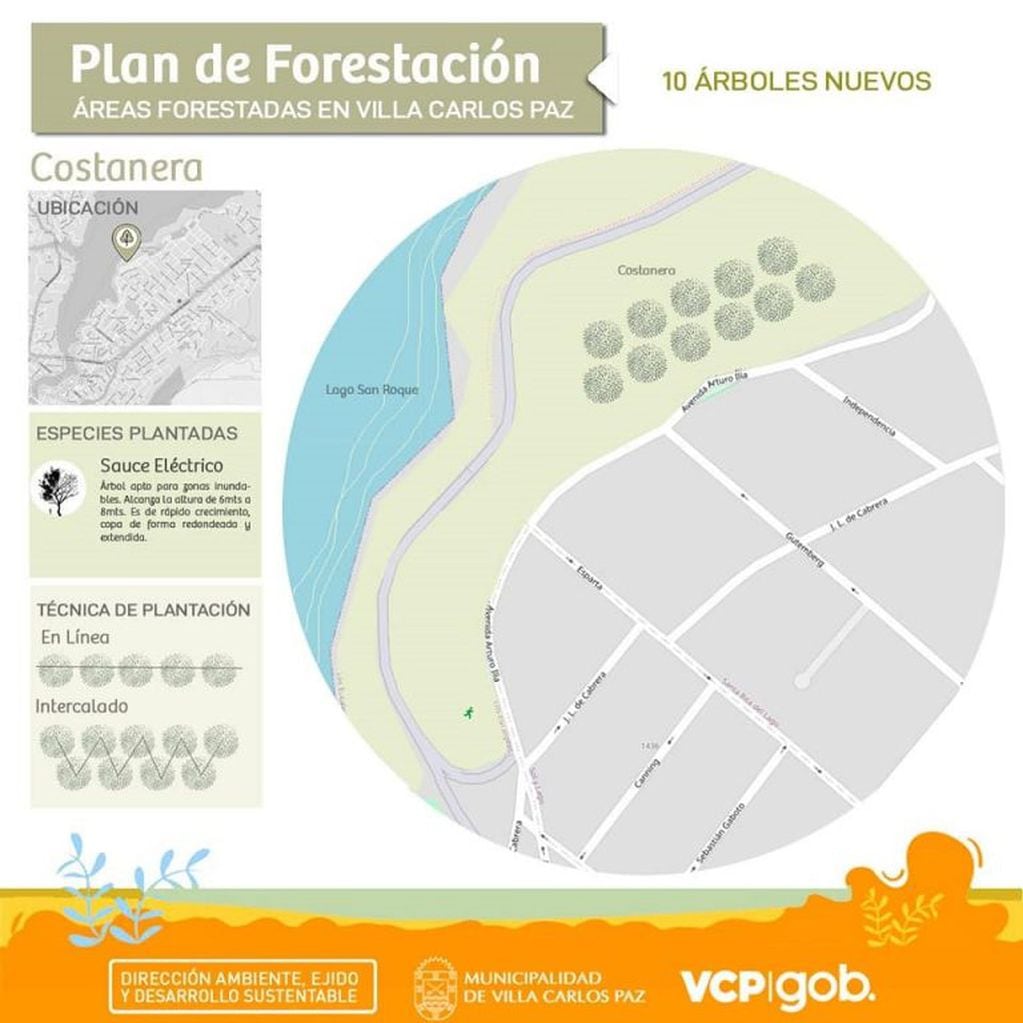Avanza el plan de reforestación en Carlos Paz