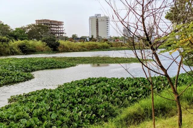 Convocan a una jornada de limpieza del arroyo Zaimán, Itá y la bahía El Brete por el Día Mundial del Agua