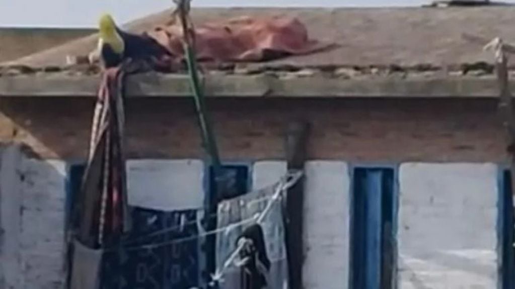 El cuerpo de Federico Rey sobre el techo de la cárcel de Florencio Varela (Foto: web)