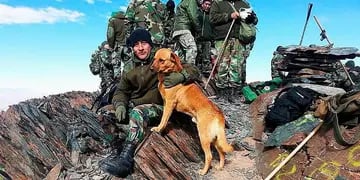 Perros y soldados