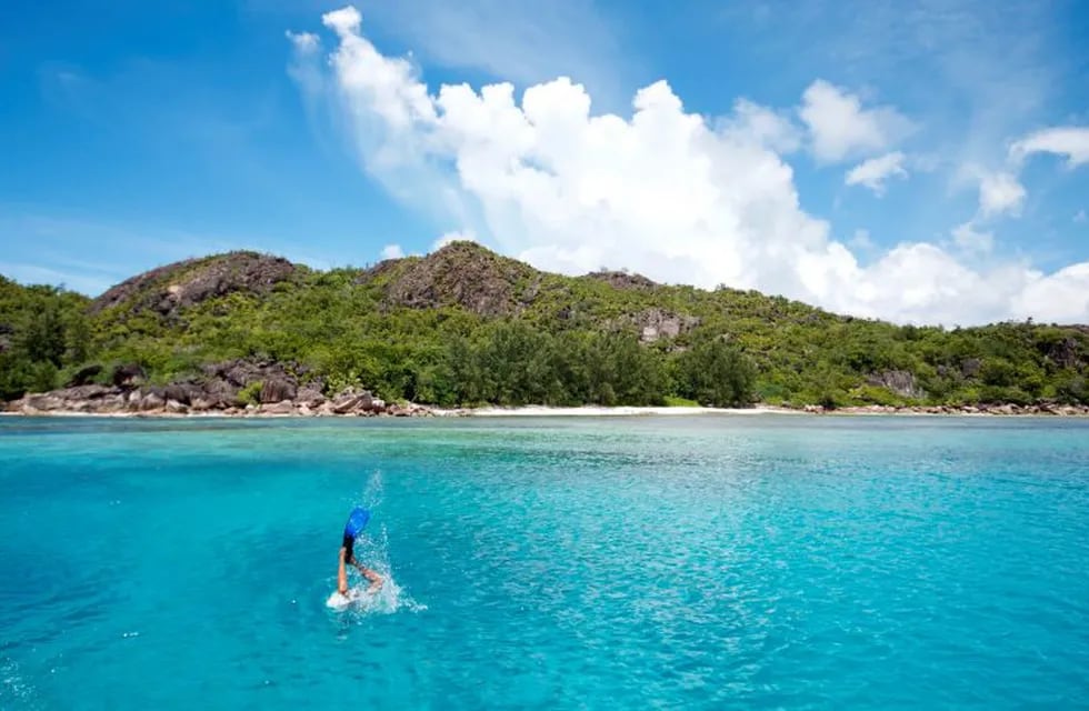 El agus en Seychelles. (Tate Drucker/The Nature Conservancy via AP)