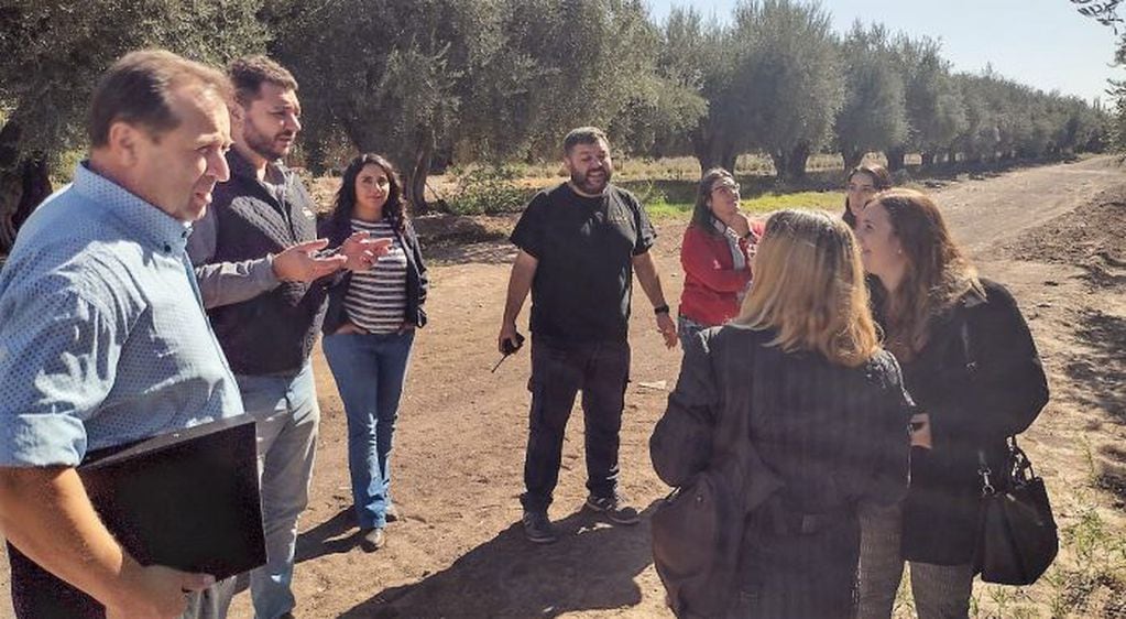 IG del aceite de oliva: funcionarios de Nación visitan Mendoza