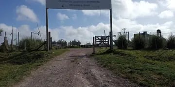 Centro de zoonosis, Tres Arroyos