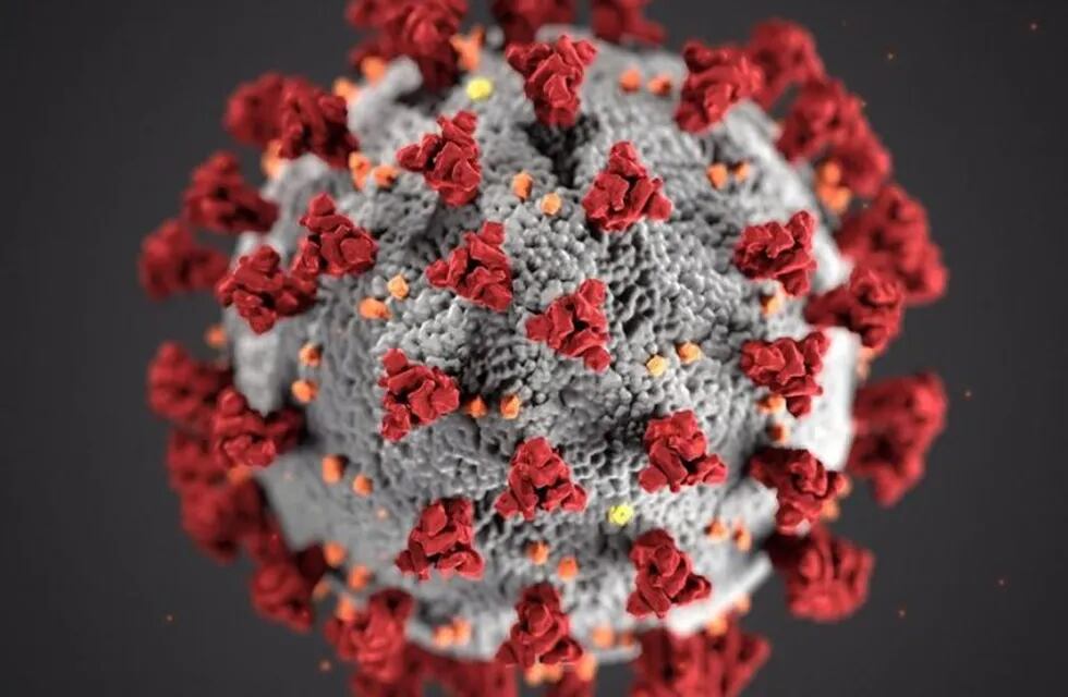 Coronavirus - Gualeguaychú evalúa nuevas medidas ante la cantidad de casos\nCrédito: Web