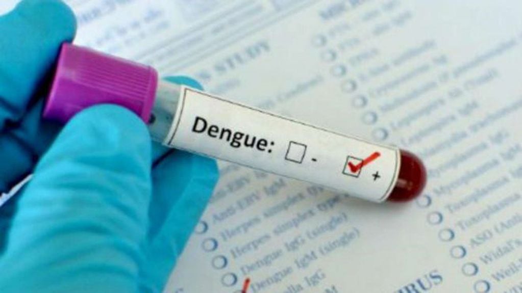 Los casos de dengue en Corrientes superan el centenar. (Web).