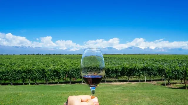 El vino, un símbolo de Mendoza. Foto: Patricksd.