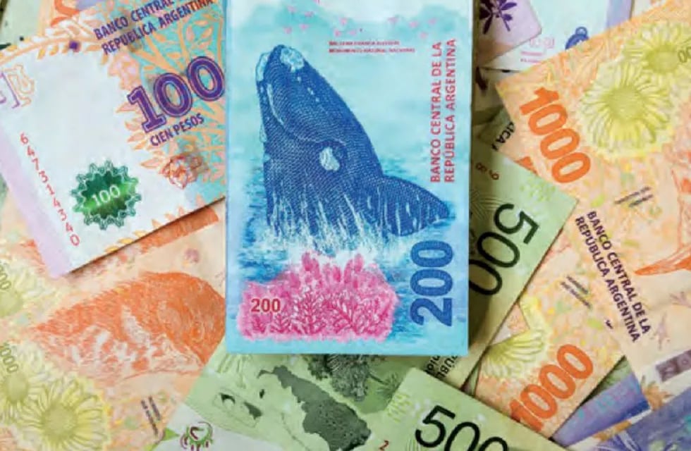 Los nuevos billetes que se lanzan en Argentina, mantienen los mismos valores nominales, pero cambia su diseño. Los Andes