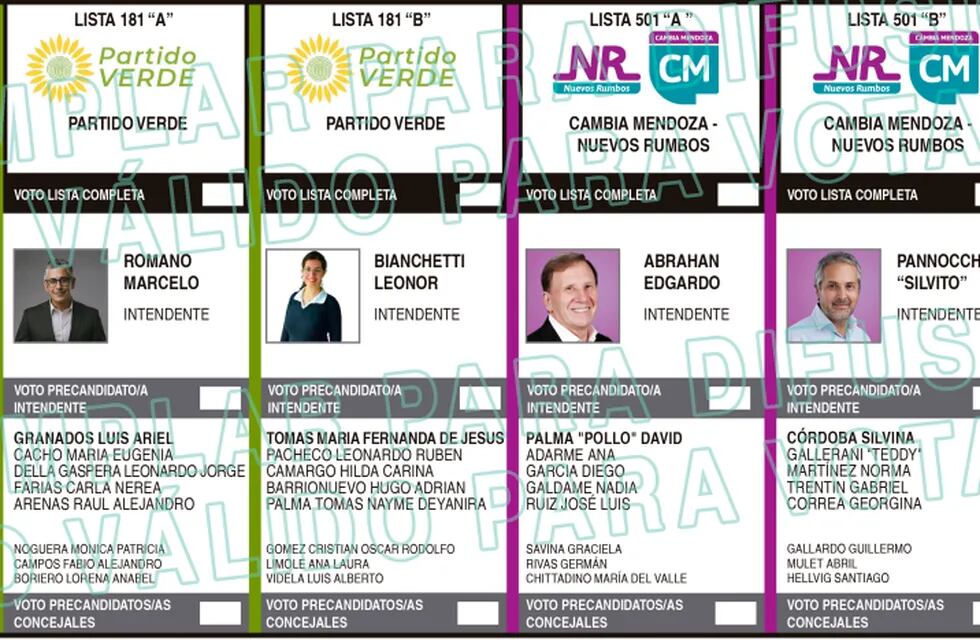 Así serán las boletas únicas para las elecciones desdobladas del 30, de los siete municipios. Uno de ellos, San Carlos.