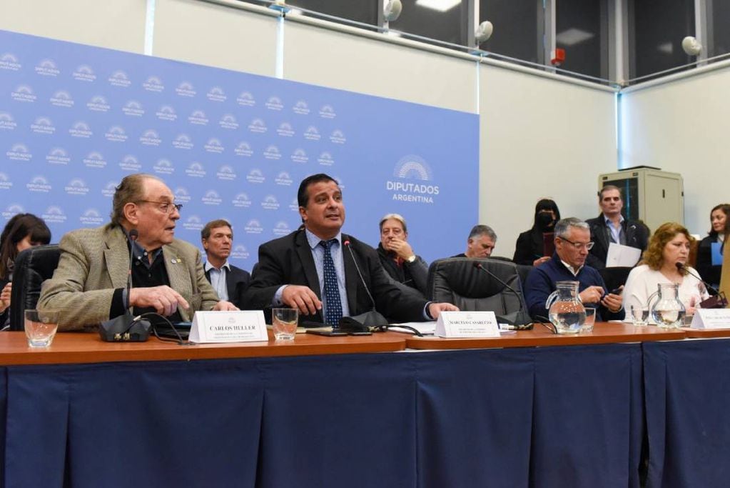 Carlos Heller y Marcelo Casaretto, presidentes de las comisiones de Presupuesto y de Industria. Foto: HCDN.