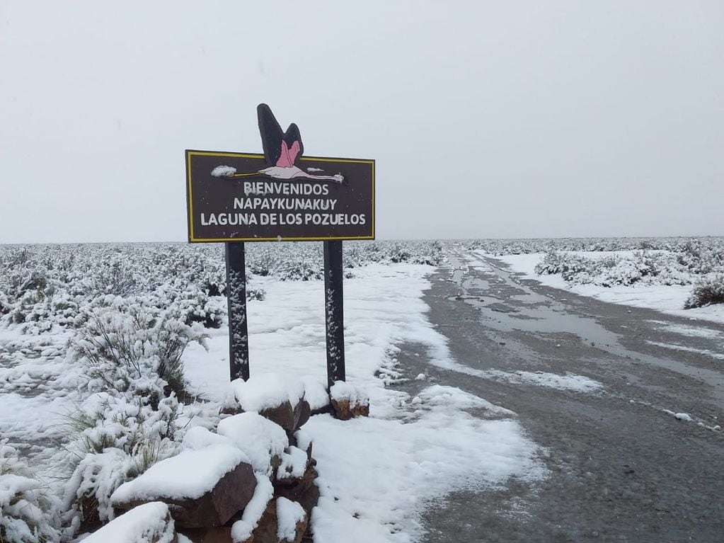 Abierto hace una semana atrás al público, el Monumento Natural "Laguna de los Pozuelos", en la Puna jujeña, quedó cubierto de blanco por la nevada.