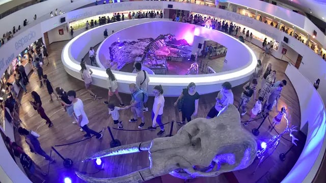 Noche de los Museos 2022