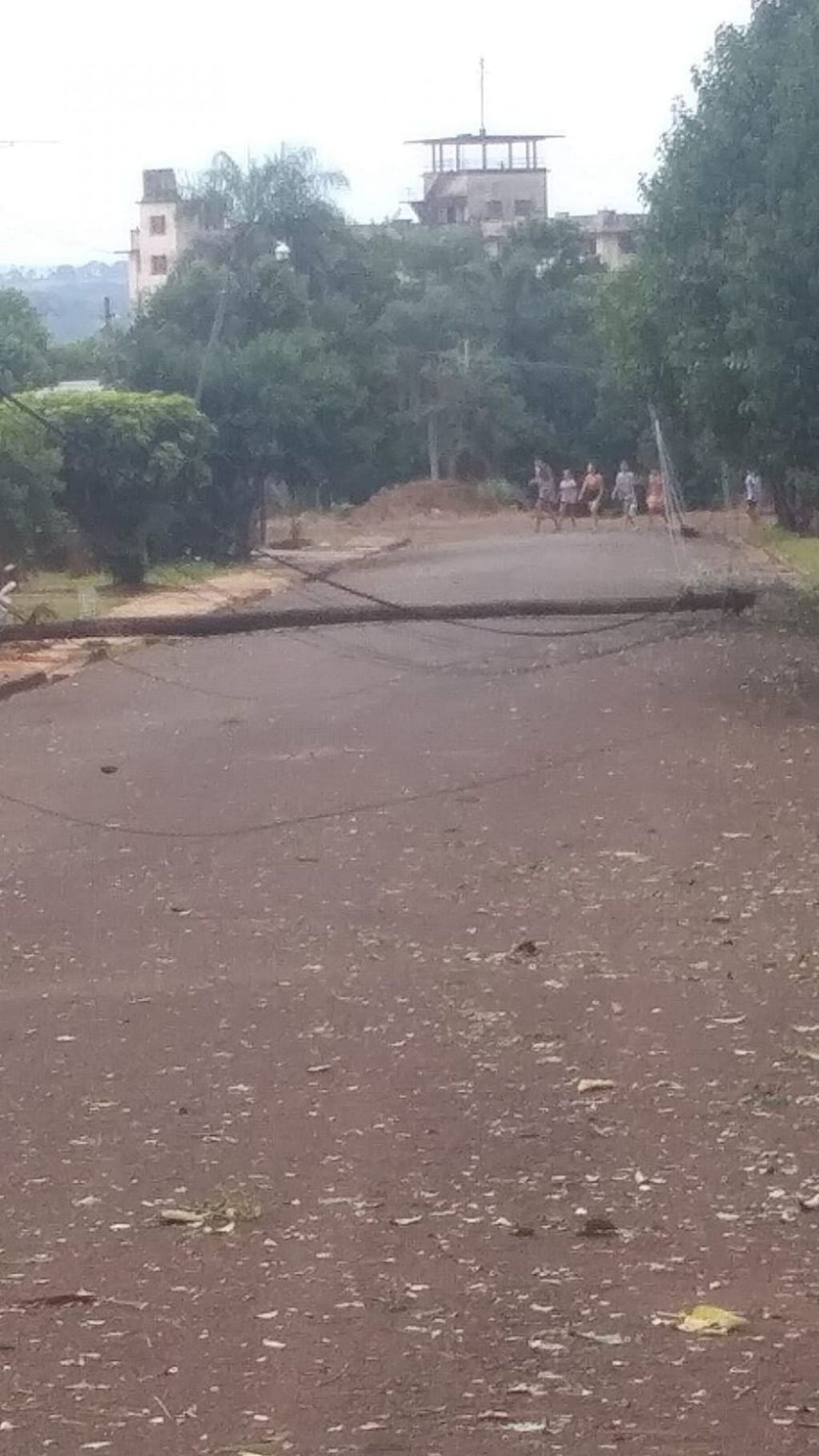 Fuerte temporal generó daños en barrios de Campo Viera y Leandro N. Alem.