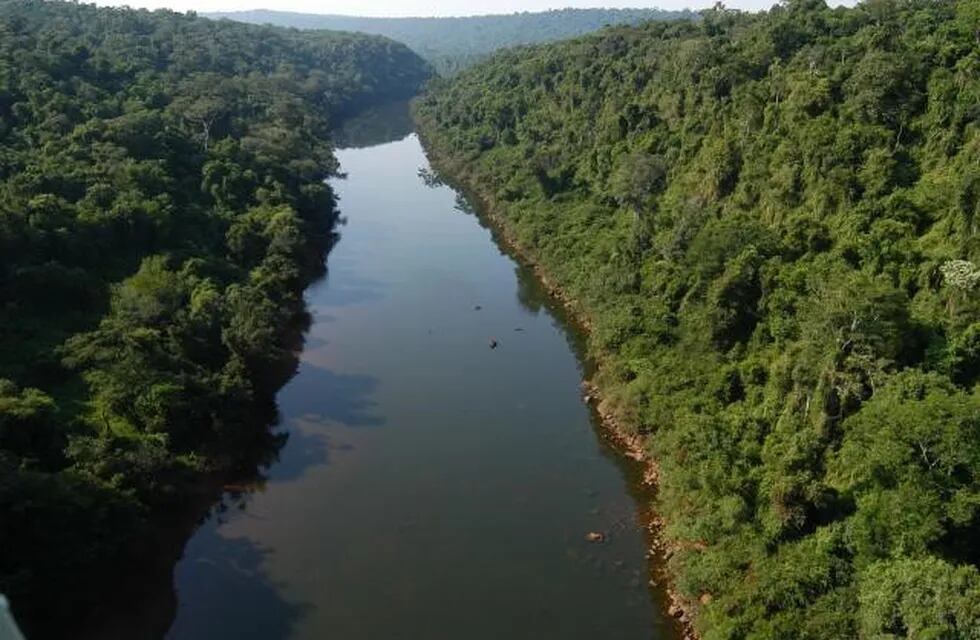 Paisaje de la Selva Misionera. (CIMECO)