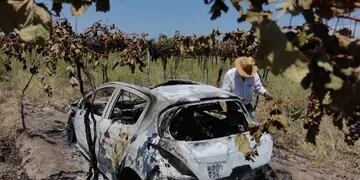 Robaron un auto y lo encontraron prendido fuego en una finca de Rivadavia.