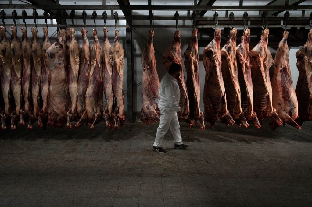 Argentina sigue dependiendo notablemente de la cantidad de exportaciones de carne bovina.
