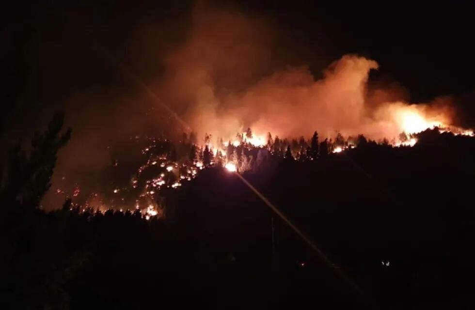 Las llamas consumieron unas 75 hectáreas de bosque nativo en Río Negro.