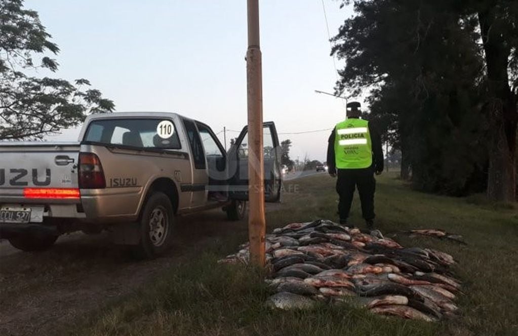 Sábalos secuestrados en la ruta 1°. (Uno Santa Fe)