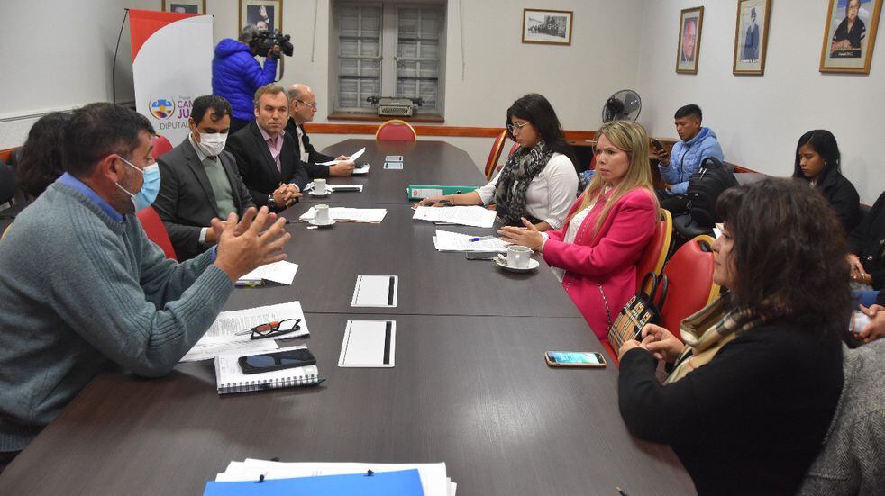 La Comisión de Salud de la Legislatura de Jujuy se reunió en el salón "Raúl Alfonsín" para continuar trabajando sobre el proyecto de ley para visibilización y tratamiento de la endometriosis.
