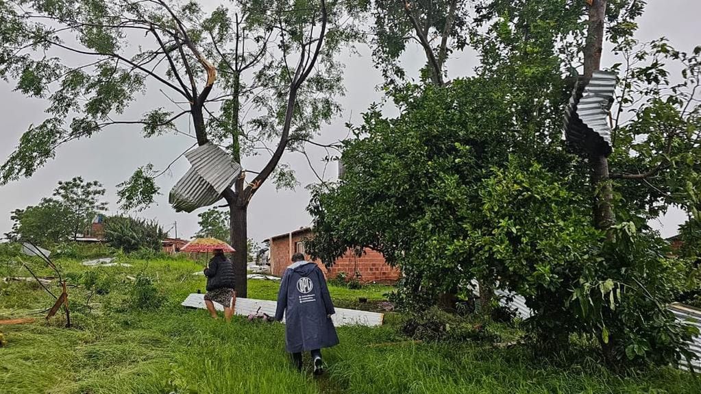 Fuerte temporal en Leandro N. Alem causó caídas de árboles, postes, decenas de viviendas dañadas y se registraron varios heridos