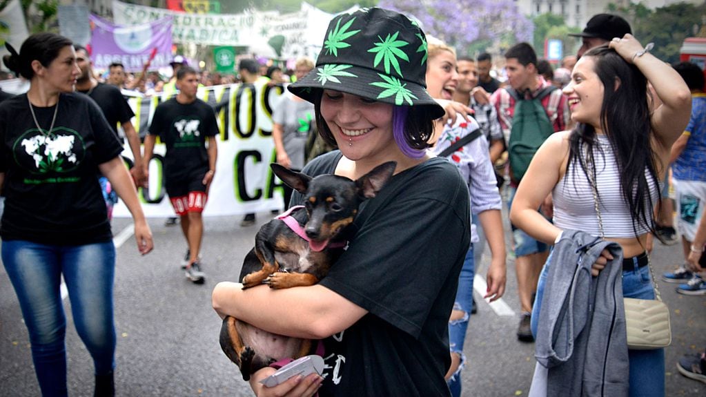 20 de abril: Día Mundial de la Marihuana