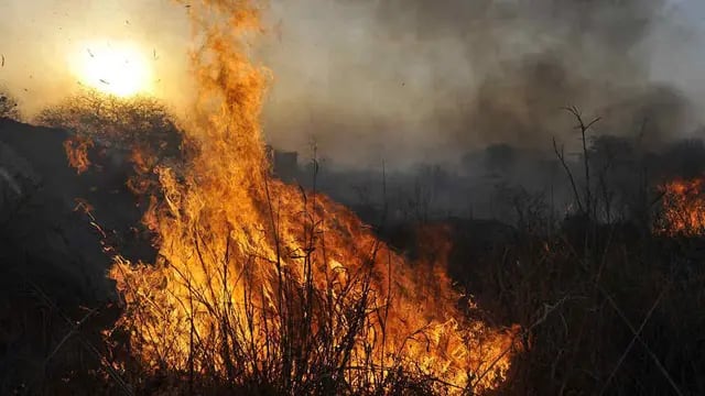 INCENDIOS. En Córdoba ya se quemaron más de 95 mil hectáreas (Archivo).