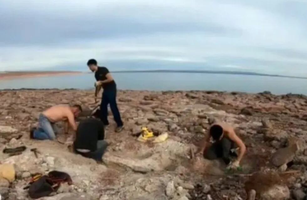 Por la bajante de un lago en Neuquén, encontraron restos de un dinosaurio gigante