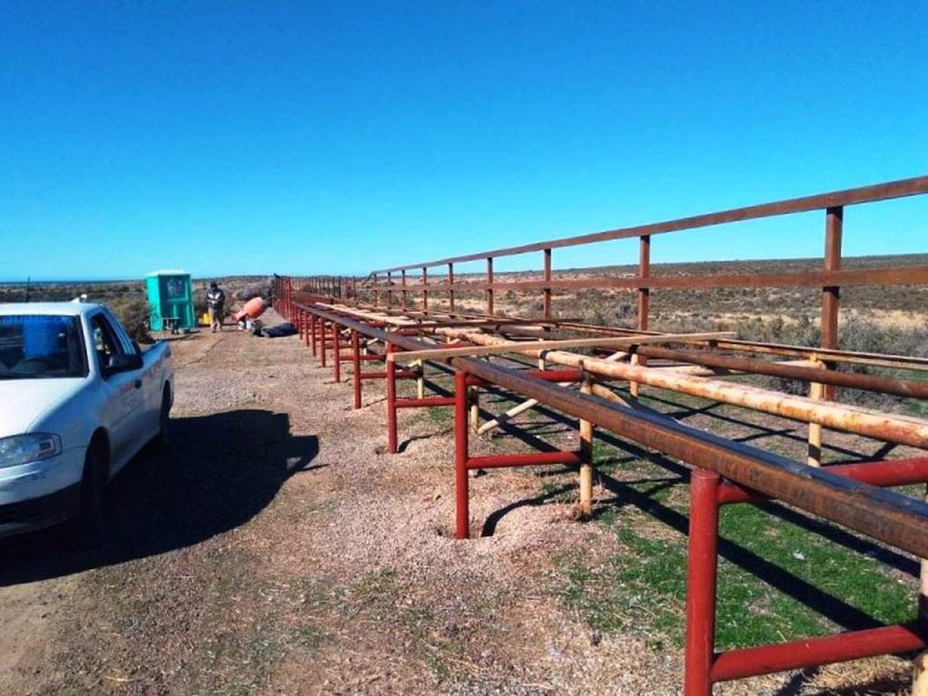 Trabajos en la reserva Punto Tombo.