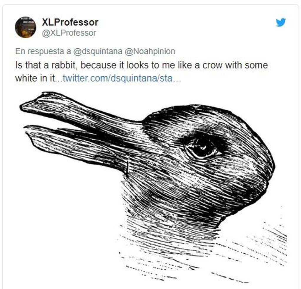 Es un conejo, ilusión viral.