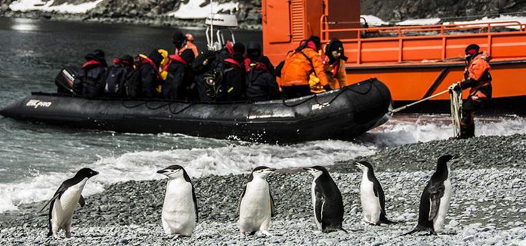 Desembarco en Base "Orcadas" con recibimiento de pingüinos de barbijo
@fuerzas-armadas.mil.ar