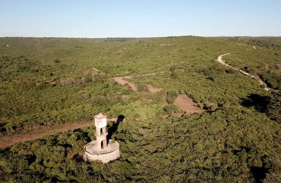 Parque Puma, La Falda. Vecinos alertaron sobre la vulneración de la Ley Nacional General del Ambiente y la Ley de Ordenamiento territorial de bosques nativos de Córdoba. (La Voz)
