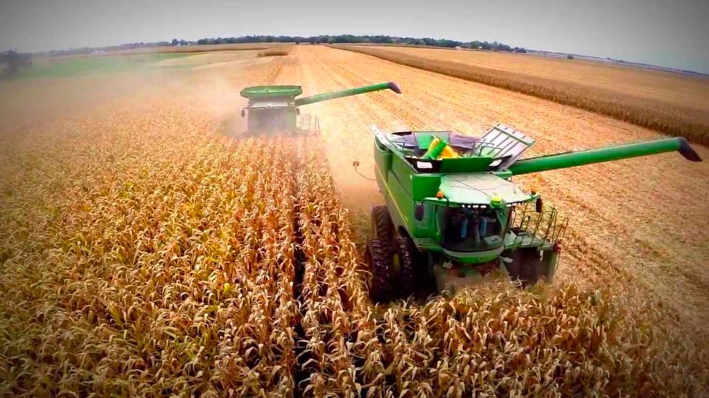 El maíz, la razón del nuevo conflicto entre el Gobierno y el campo.