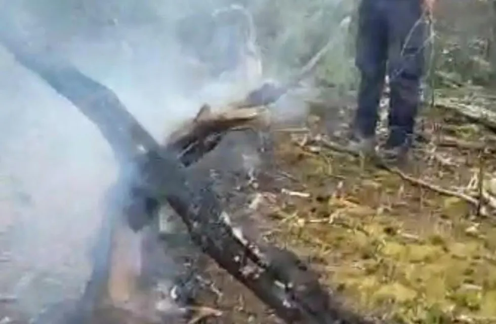La Municipalidad de Ushuaia realizó la denuncia judicial por el incendio de pastizales que se produjo durante el fin de semana en el barrio Río Pipo.