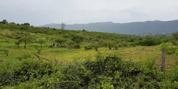 Subastan terrenos en las sierras de Córdoba