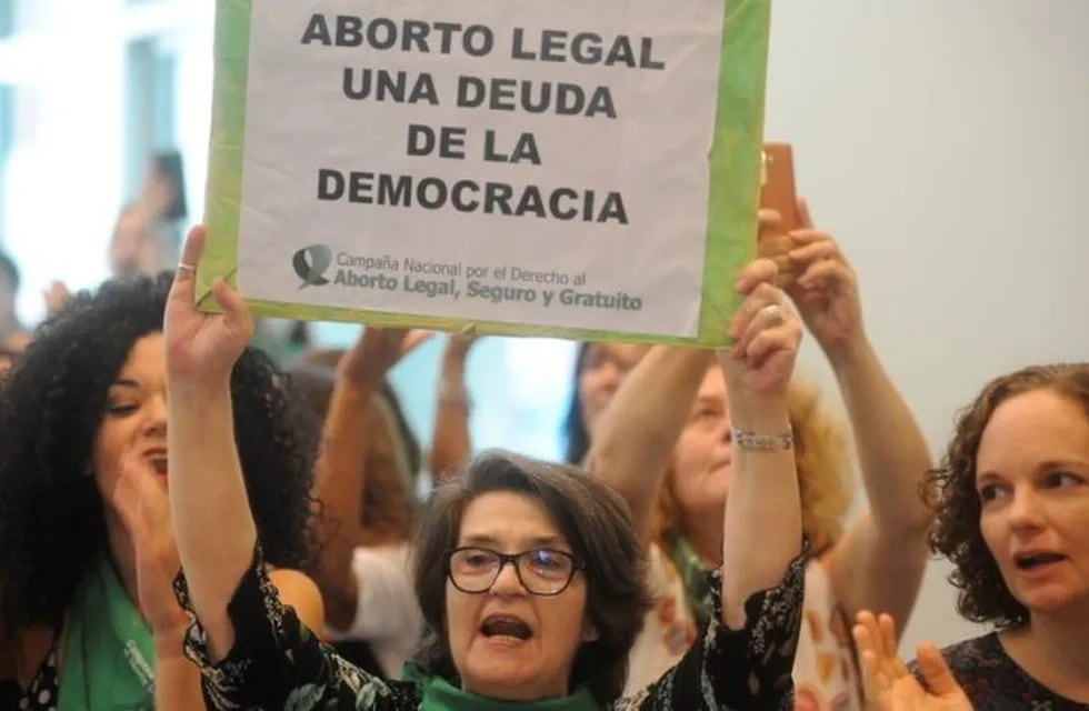 Presentaron proyecyo de ley de despenalización del aborto (Alfredo Martínez)