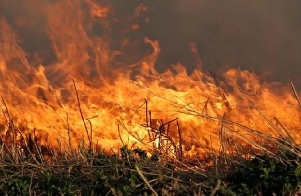 Incendio en Santa Rosa, Mendoza.