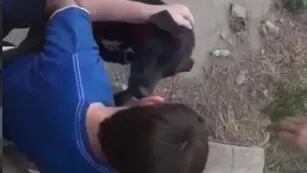 Chicos de Arroyito salvaron a un perro atrapado en un canal