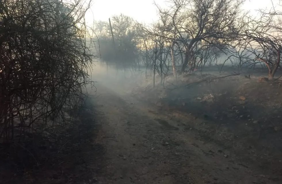 Incendio forestal en Villa Giardino contenido en un 90 por ciento.