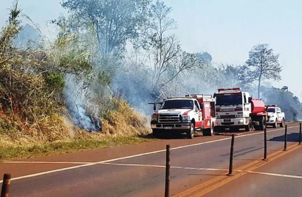 En plena alerta por incendios forestales en el país, se registró un incendio al costado de la ruta 14