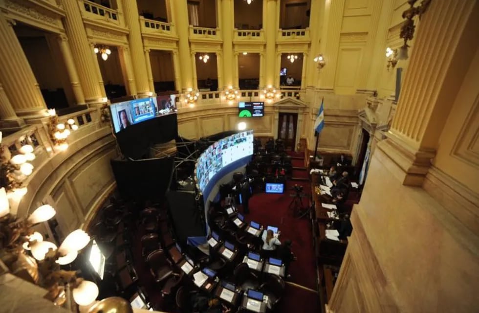 Sesión en el Senado. (Foto: Federico Lopez Claro)