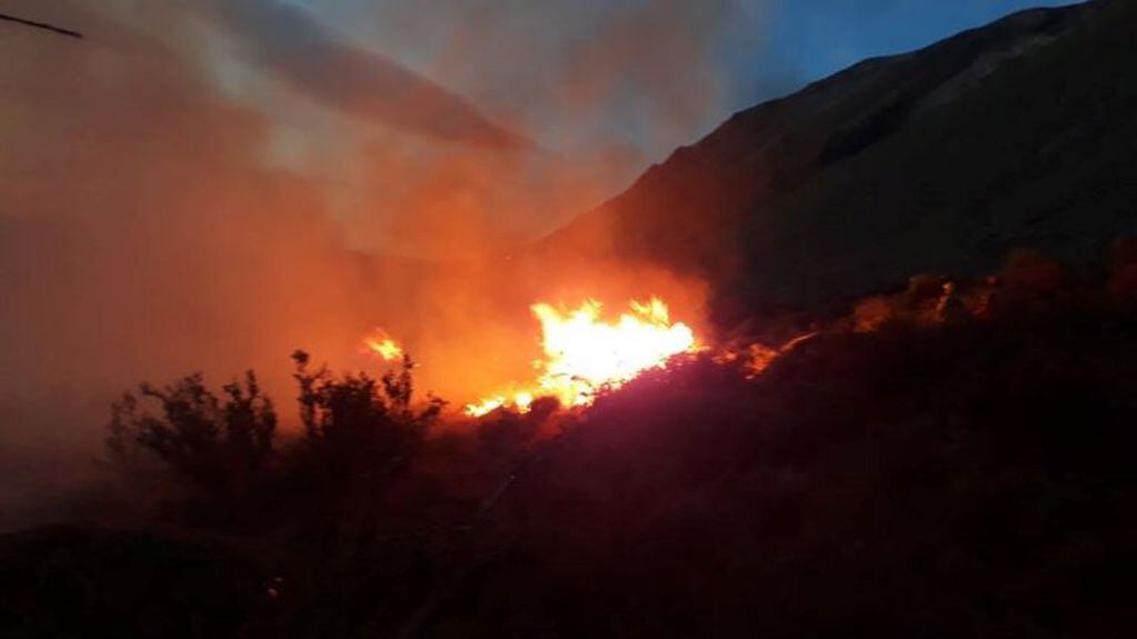 El fuego se controló rápidamente gracias al accionar de los bomberos voluntarios de Esquel.