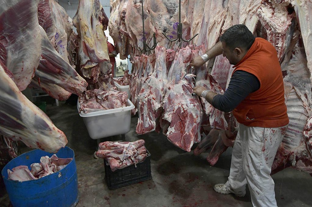 Las carnes, uno de los principales problemas para la gestión de Alberto Fernández. 